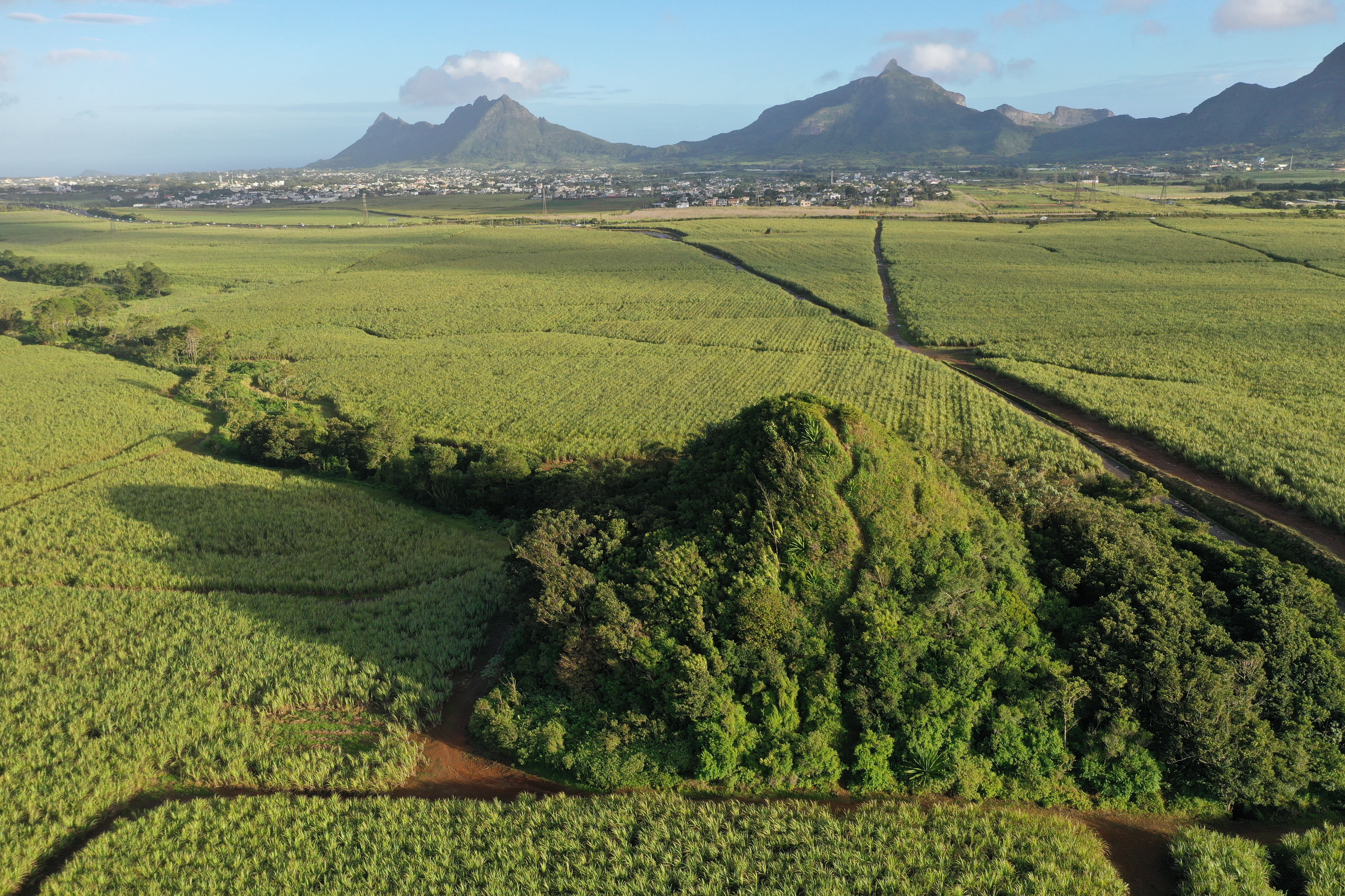 La Motte à Thérèse